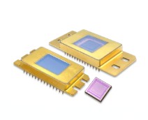 ingaas area image sensor